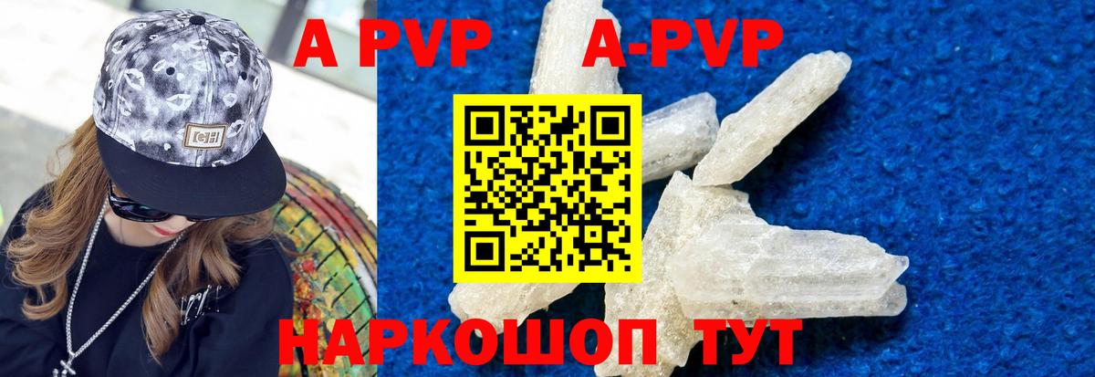 A PVP СК КРИС Владимир