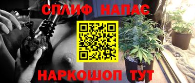 МДПВ Малоярославец