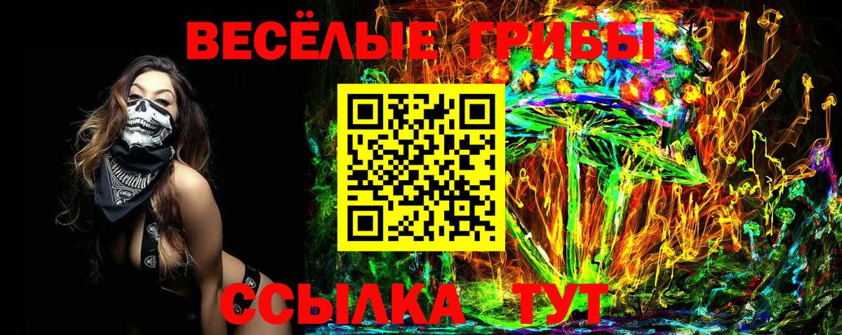 Владимир  Псилоцибиновые грибы Psilocybine cubensis  купить наркоту  Вход с VPN  Галлюциногенные грибы GOLDEN TEACHER 