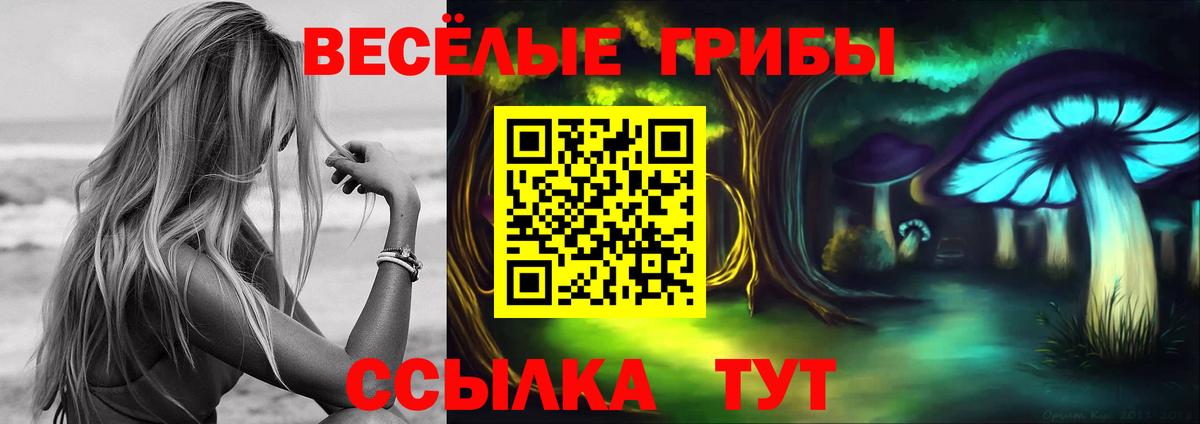 Псилоцибиновые грибы мухоморы Владимир